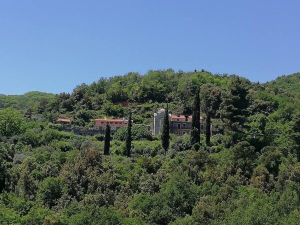 Σαφάρι.